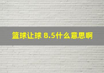 篮球让球 8.5什么意思啊